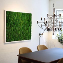 Mosbillede pudemos 120x90 cm