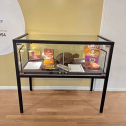 Glasmontre Arta m. glastop