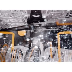 Professionel opvaskemaskine Miele PFD 405 DOS WB Hygiene Air Hvid