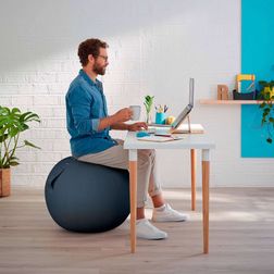 Balancebold Leitz Ergo Cozy