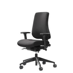 Kontorstol Canadian Ergo CE 02