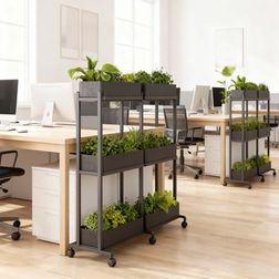 Rumdeler APTO Extend Plant Duo 3, antracit