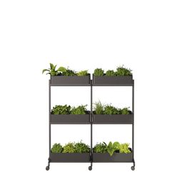 Rumdeler APTO Extend Plant Duo 3, antracit