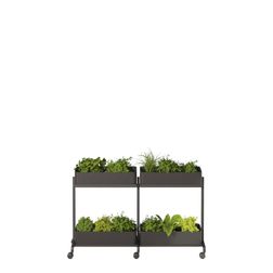 Rumdeler APTO Extend Plant Duo 2, antracit