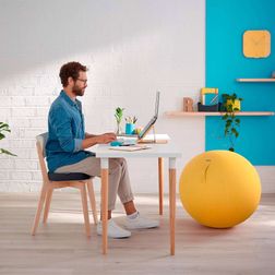 Sædepude Leitz Ergo Cozy