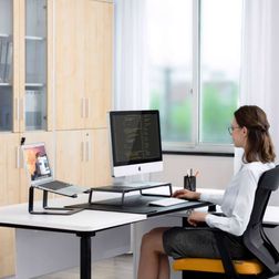 Skærmstander Ergonomic til skærm