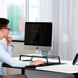 Skærmstander Ergonomic til skærm