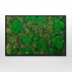 Mosbillede Mosmix 006 120x90 cm
