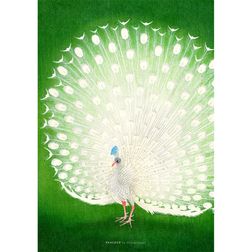 Akustik billede Peacock 57x80 cm