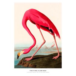 Akustik billede The Pink Flamingo 80x112 cm