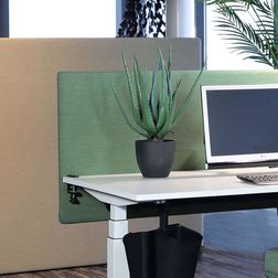 Plante Aloe vera 55 cm, inkl. krukke