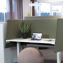 Plante Aloe vera 55 cm, inkl. krukke