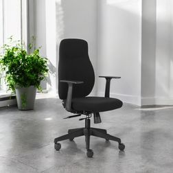 Kontorstol Canadian Ergo Eco 2 