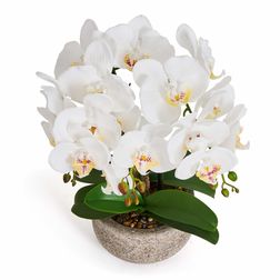Plante Orkide 42 cm, hvid