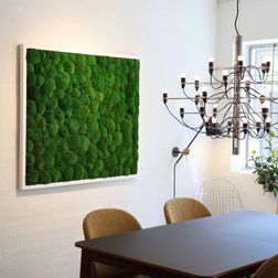 Mosbillede pudemos 120x90 cm