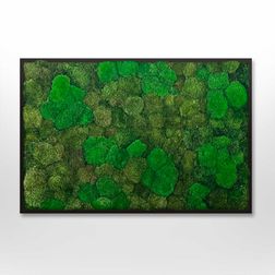 Mosbillede Mosmix 006 70x50 cm