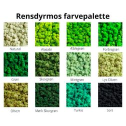 Mosbillede rensdyrmos 70x50 cm