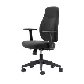 Kontorstol Canadian Ergo Eco 2 