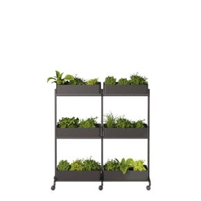 Rumdeler APTO Extend Plant Duo 3, antracit