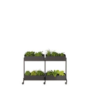 Rumdeler APTO Extend Plant Duo 2, antracit