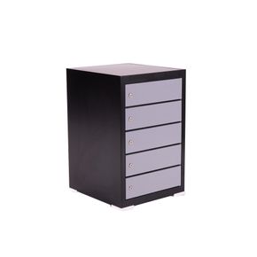 PC-skab med 5 rum, inkl. opladning og cylinderlås