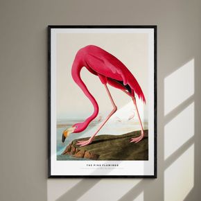 Akustik billede The Pink Flamingo 57x80 cm