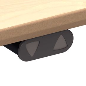 Hæve sænkebord Triform Classic 100x200