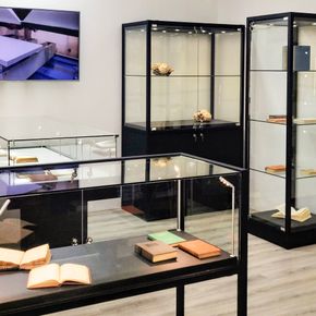 Glasvitrine Arta 60 cm, 1 hylde