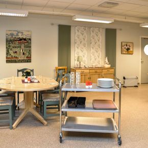 Rullebord 3 hylder, Rustfri