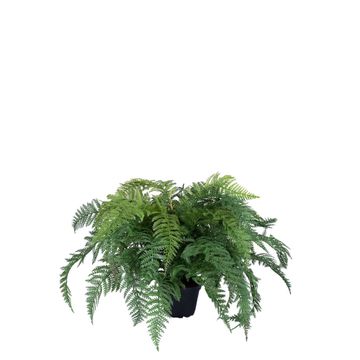 cylinder plant pot Ceramic Planter, Cylinder  Matte Goods