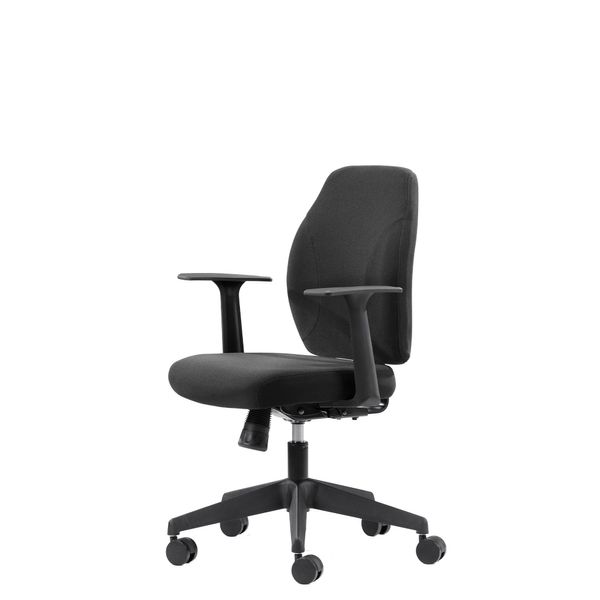 Kontorstol Canadian Ergo Eco 1 