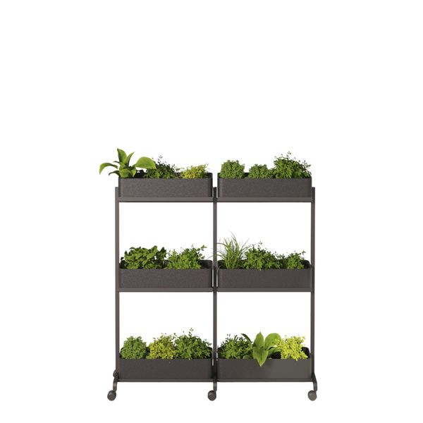 Rumdeler APTO Extend Plant Duo 3, antracit