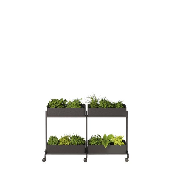 Rumdeler APTO Extend Plant Duo 2, antracit