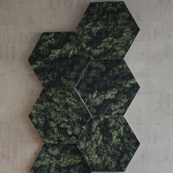 Honey Moss print EcoSUND 6 stk.