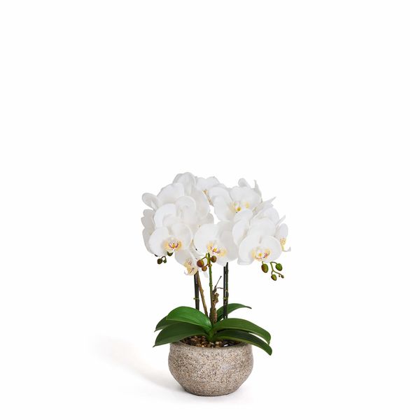Plante Orkide 42 cm, hvid