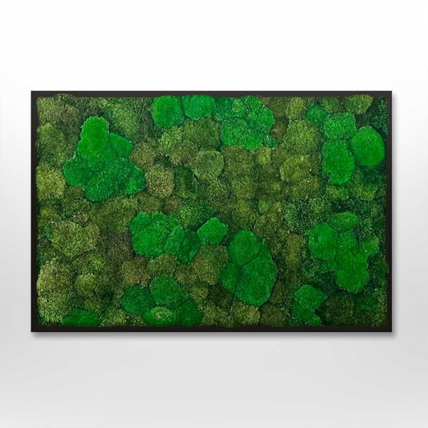 Mosbillede Mosmix 006 70x50 cm